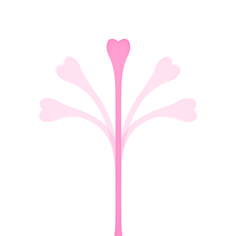 OHMAMA - SET DI 5 PALLE DA ESERCIZIO KEGEL Ohmama Stimulating