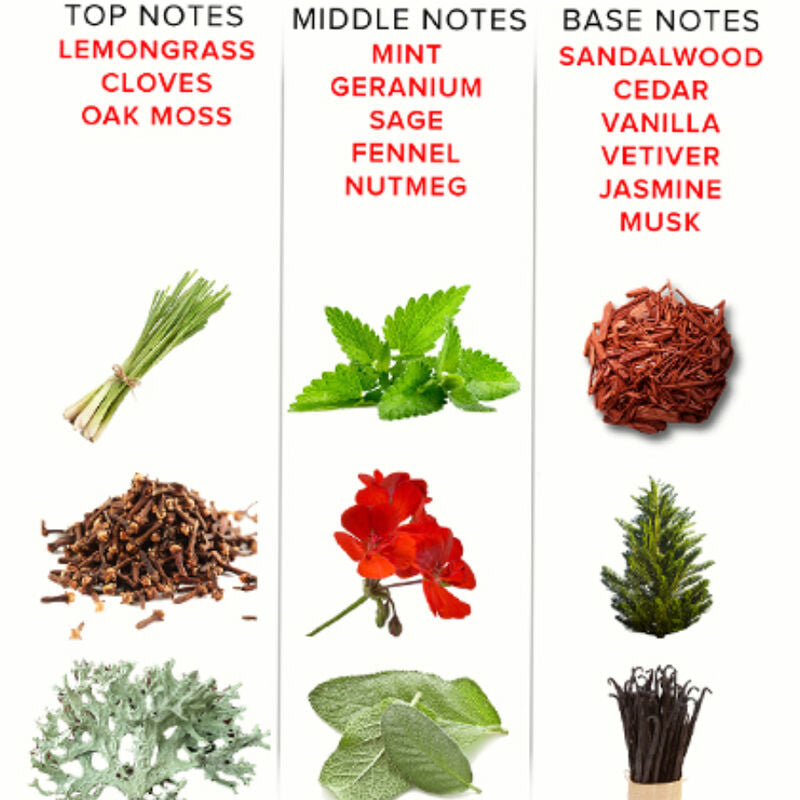 EYE OF LOVE - EOL PHEROMONE PARFUM 10 ML - ROMANTIC Eye Of Love