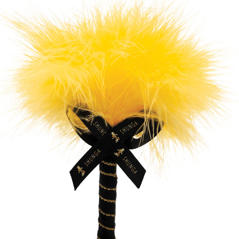 SHUNGA - KIT POLVERE DA MASSAGGIO ALIMENTARE MANGO Shunga Body Power