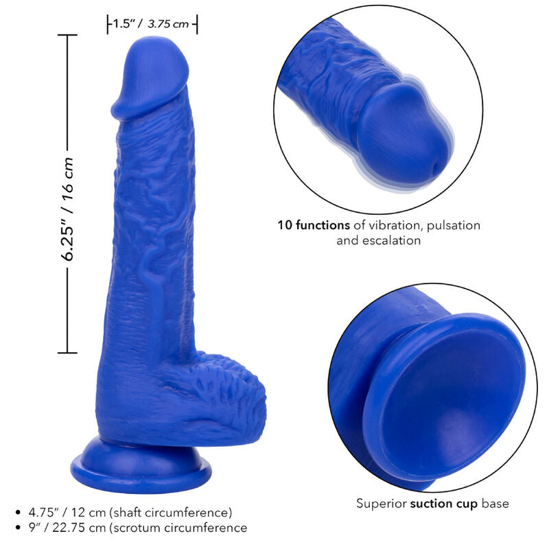 CALEXOTICS - ADMIRAL VIBRATORE DILDO REALISTICO SAILOR BLU Calexotics