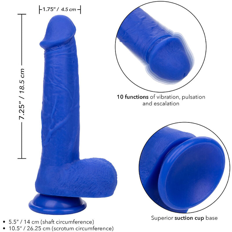 CALEXOTICS - ADMIRAL VIBRATORE DILDO REALISTICO DEL CAPITANO BLU Calexotics