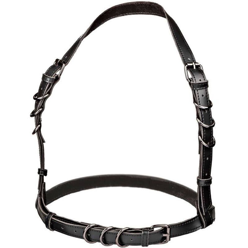 CALEXOTICS - EUPHORIA IMBRACATURA CON FIBBIA PLUS TAGLIA NERA Calexotics