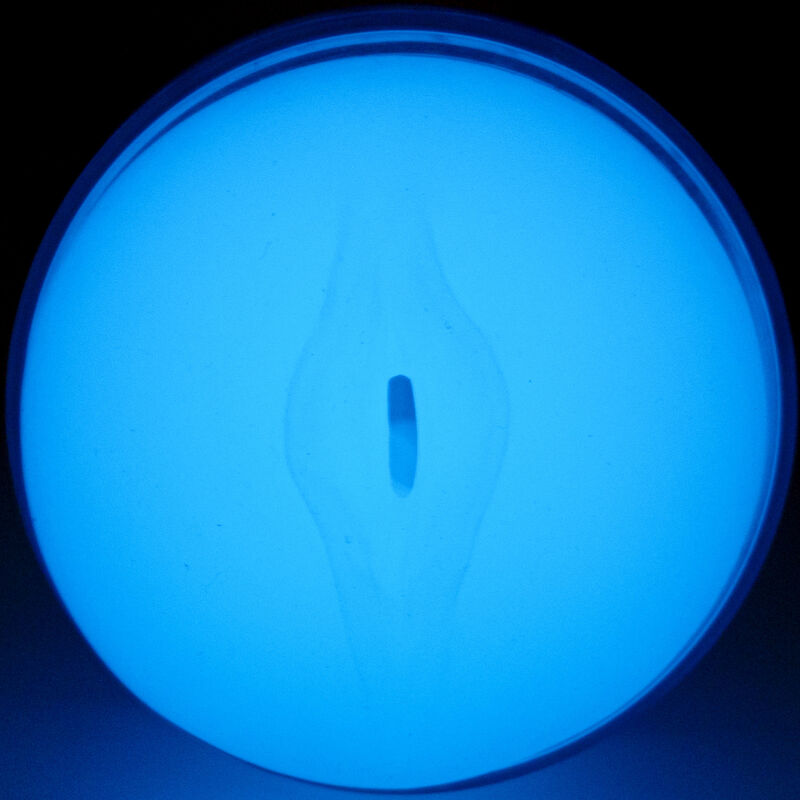 KIIROO - SENTIRE IL BAGLIORE NEL BUIO STROKER Kiiroo