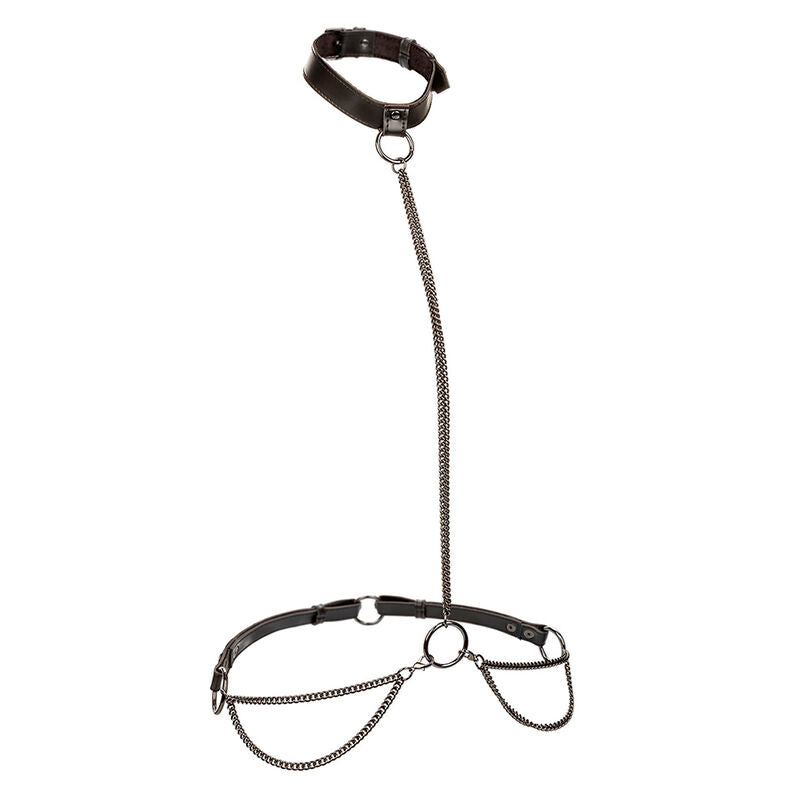 CALEXOTICS - EUPHORIA COLLARE A CATENA E GUINZAGLIO Calexotics