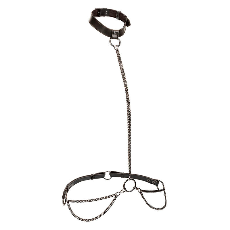 CALEXOTICS - EUPHORIA COLLARE A CATENA E GUINZAGLIO TAGLIA PI GRANDE Calexotics