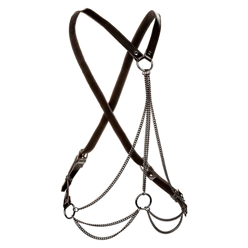 CALEXOTICS - EUPHORIA MULTICHAIN IMBRACATURA PREMIUM TAGLIA PI GRANDE Calexotics