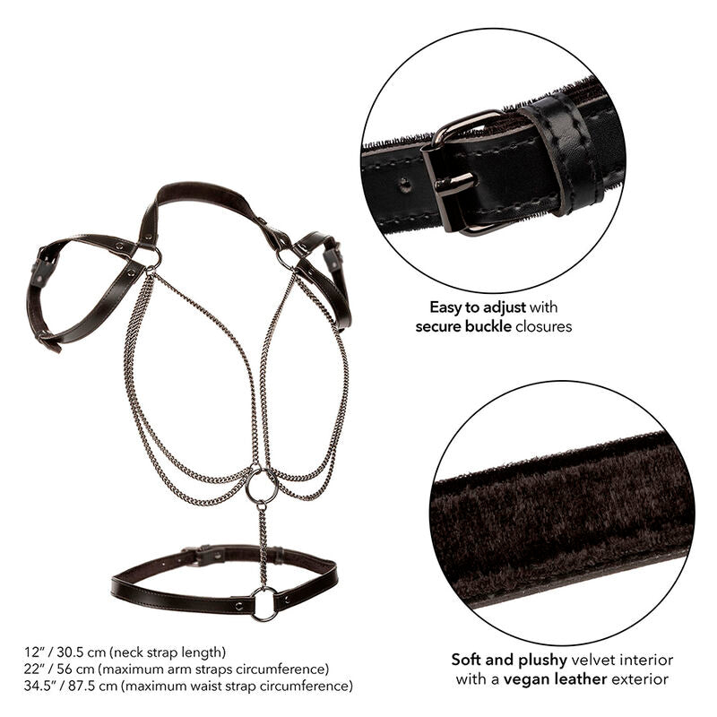 CALEXOTICS - EUPHORIA MULTICHAIN HALTER HARNESS PREMIUM Calexotics