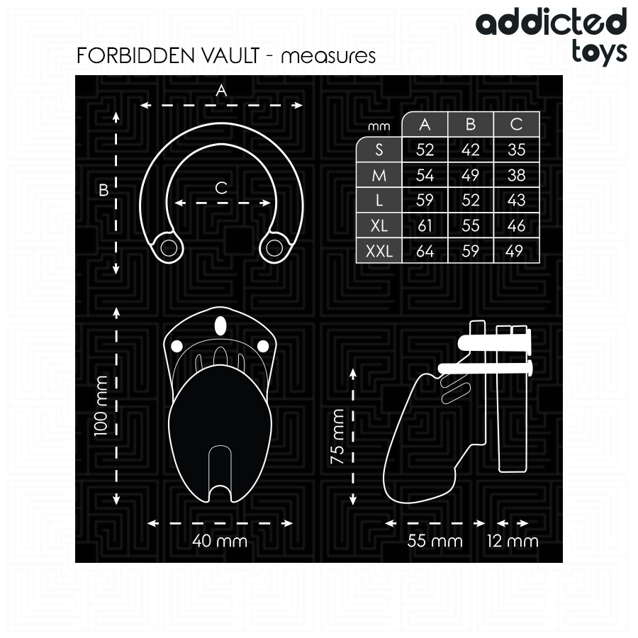 ADDICTED TOYS LOCKED - GABBIA PER PENE FORBIDDEN VAULT 10 CM Addicted Toys Locked