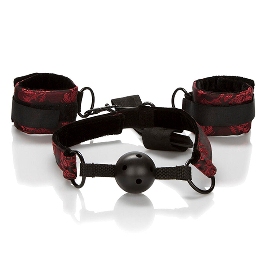 CALEXOTICS - SCANDAL BALL GAG TRASPIRANTE CON MANETTE Calexotics