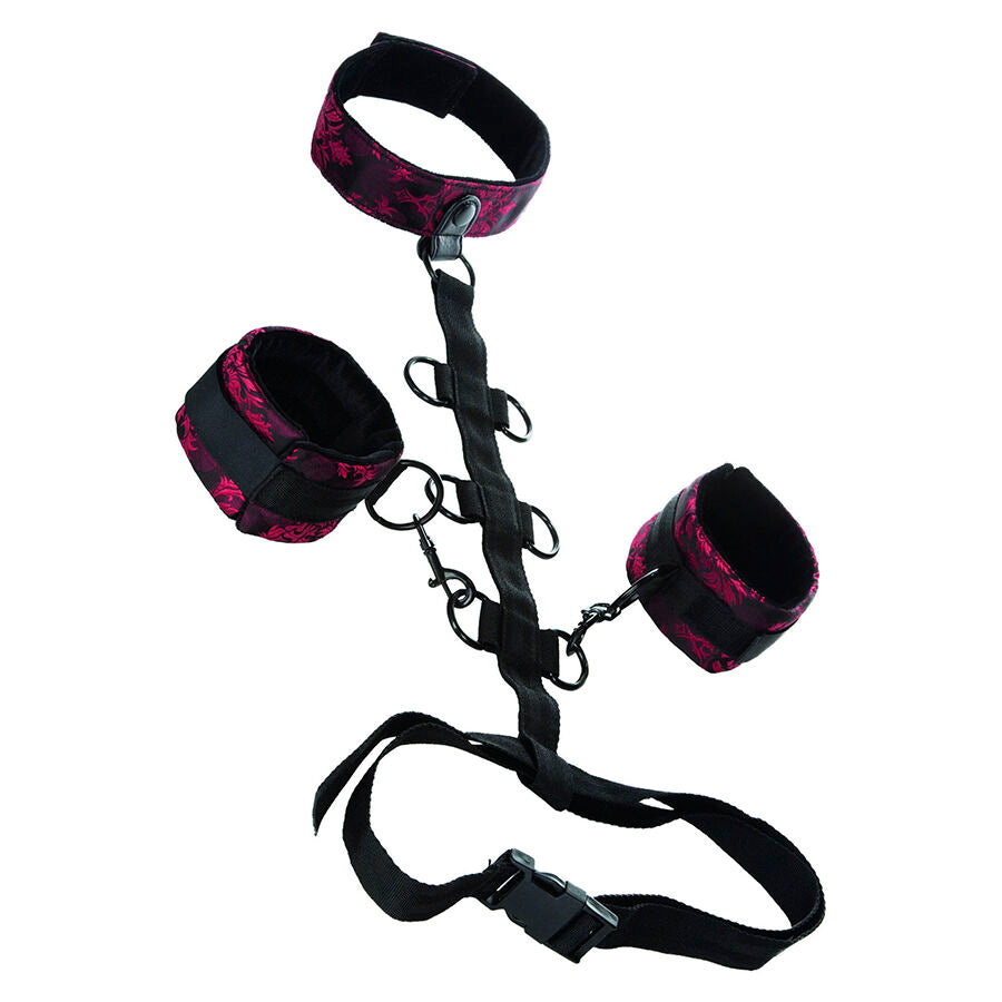 CALEXOTICS - SCANDAL COMPORAL SUPPORT CON COLLO Calexotics
