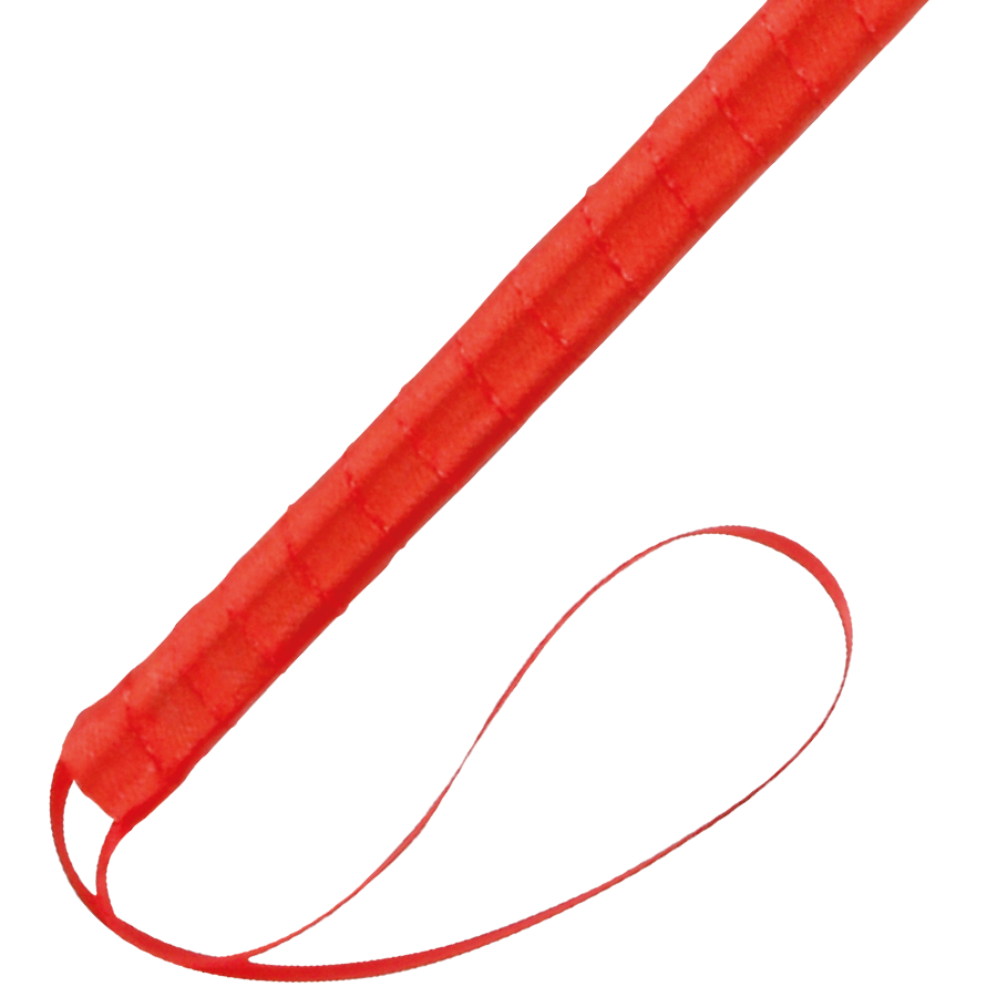 DARKNESS - PENNA STIMOLANTE ROSSA 24CM Darkness Sensations