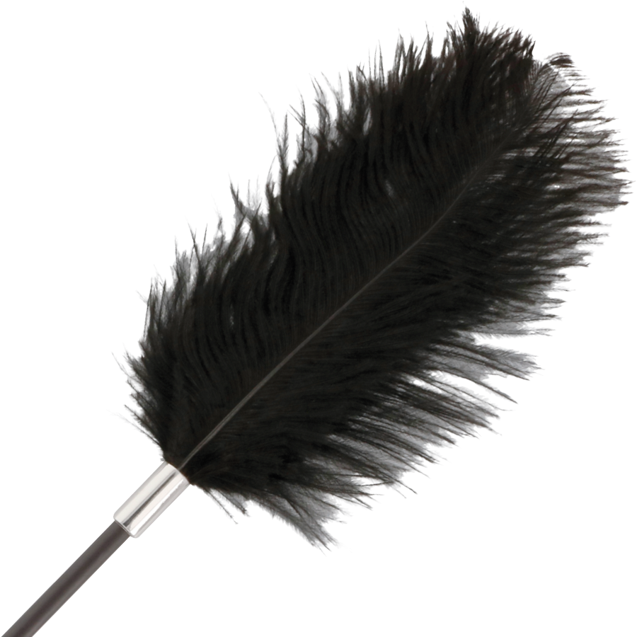DARKNESS - FRUSTA DI PIUME NERA DELLAMORE 56 CM Darkness Sensations