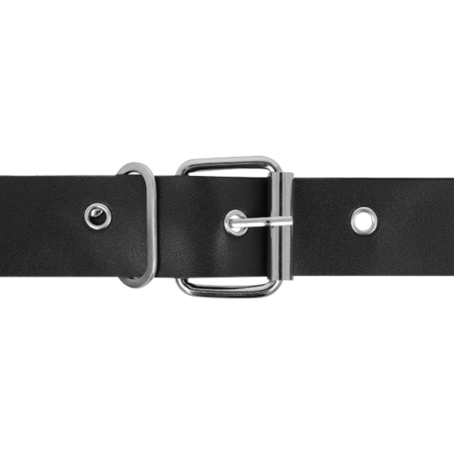 HARNESS ATTRACTION - RNES TAYLOR DELUXE 18 CM -O- 4.5 CM Harness Attraction